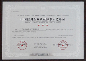 Chinese Credit Enterprise certification system demonstration unit